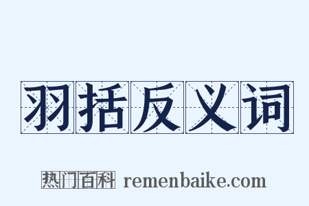 羽括反义词是什么意思的图片
